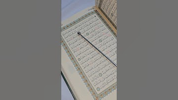يا ايها الذين امنوا لا تتبعوا خطوات الشيطان/سورة النور #القران_الكريم #ياسر_الدوسري #اذكار #سورة