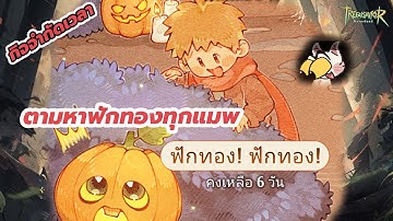 Tree of Savior: Neverland : (กิจจำกัดเวลา 6 วัน) ตามหาฟักทอง