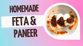 Homemade Feta and Paneer Cheese Recipe | DIY cheese at home | Easy Cheese Recipes