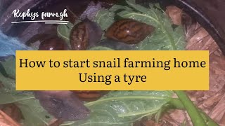 How to start snail farming home using the car tyre .#snailfarming