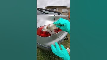 How not to fix a tail light