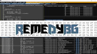 Twenty Minutes of Reasons to Use the RemedyBG Debugger