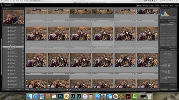 Customizing LR Library Grid View