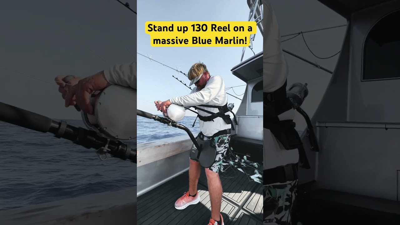 Fighting Giant Blue Marlin Standing Up | Marlin Fishing