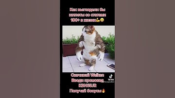 #Walken_io #Walkandearn #WLKN #Cryptoworld #m2e #p2e #Cryptoworld