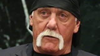 Celebrity The Real Reason Hulk And Linda Hogan Got Divorced Net Worth