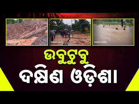 ୫୦ରୁ ଅଧିକ ଗାଁ ଜଳବନ୍ଦୀ | Koraput Flood Crisis | Over 50 Villages Waterlogged, Roads Cut Off