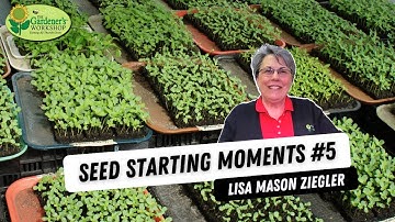 Seed Starting Moments #5: Caring for your Seedlings Indoors with Lisa Mason Ziegler