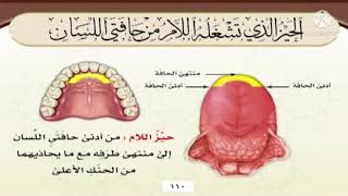 مخرج حرف اللام وخطأ قراءة حرف اللام / أ.د أَيْمَن رُشْدِي سُوَيْد