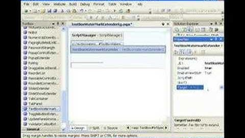 Asp.Net Ajax II : TextBoxWatermarkExtender - Shalvin