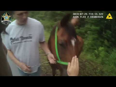 Man breaks into home on horseback