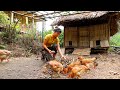 2 Year Living Off Grid | Ep.49 | Build a farm with a full vegetable gardens and fish ponds (p4)