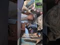Where To Buy China Wireless Radio Control All Terrain Utility Transporter