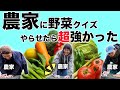 【検証】野菜クイズならQuizKnockにだって勝てるのでは？