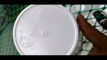 eps cup making machine,eps cup production line  manufacturer factory