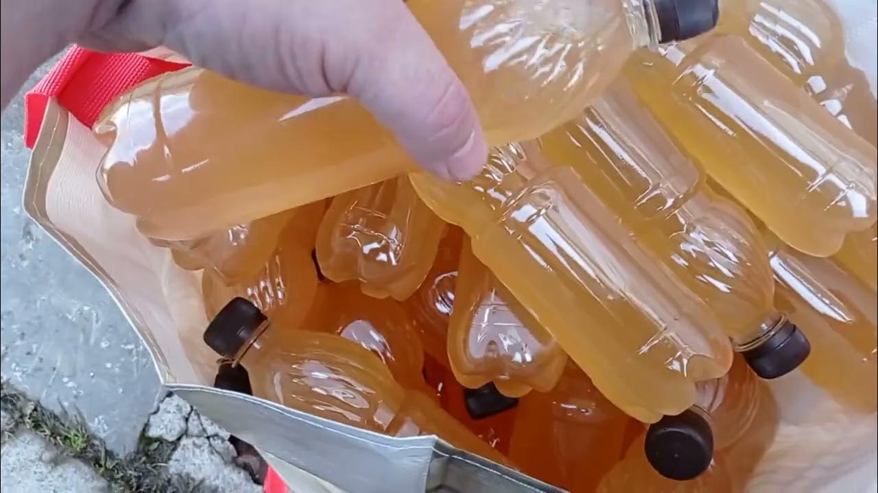 Сидр сбраживание сока. Пивная пэт кега 20 л. Карбонизация. Карбонизация сидра декстрозой. Карбонизация сидра декстрозой.