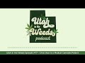 Chris Voss is a Medical Cannabis Patient | Utah in the Weeds #77