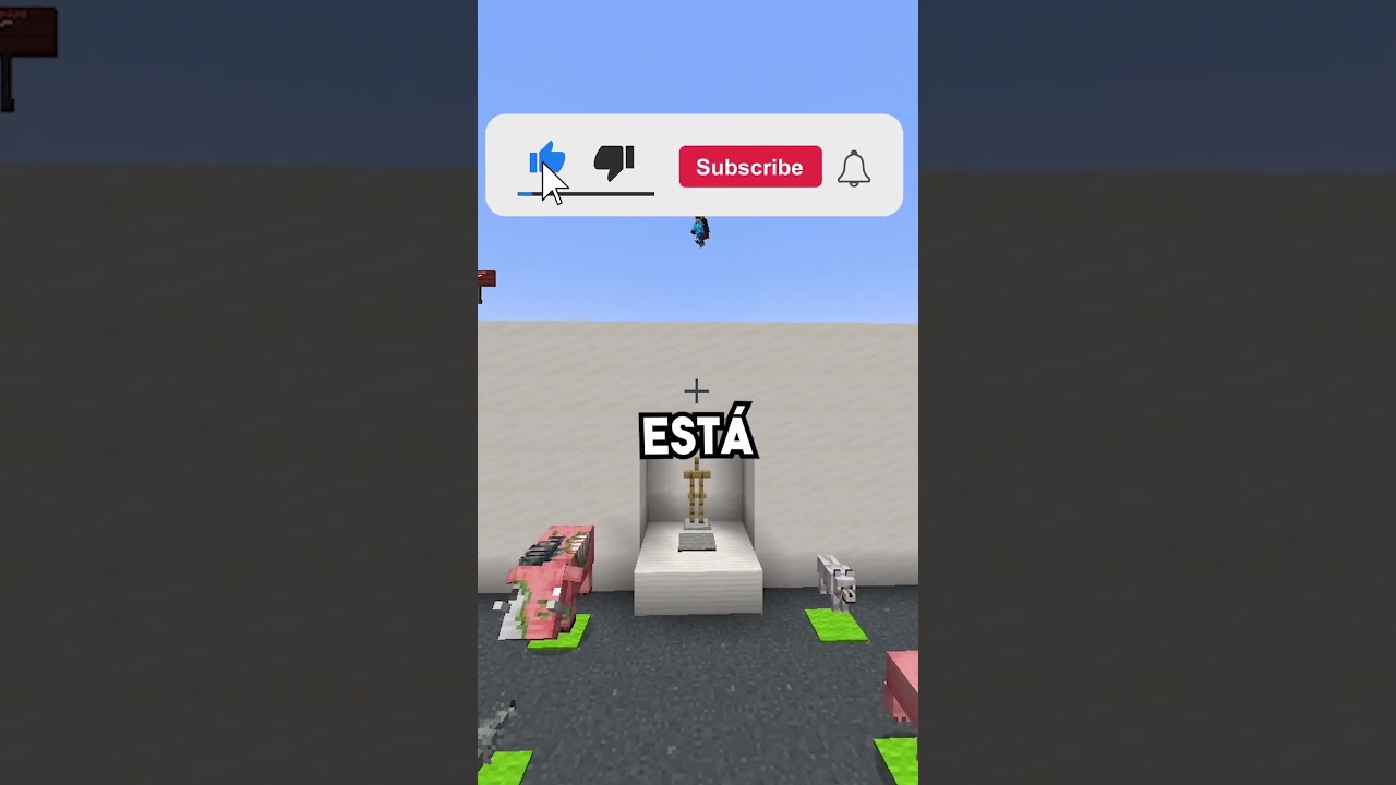 SOY UN TRAMPOSO?