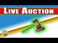 Mega live auction 1724