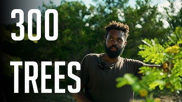 EP2: Planting 300 Trees - Transforming a Texas Hillside