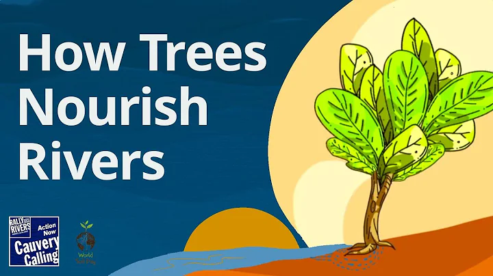 How Trees Can Make Cauvery Flow?