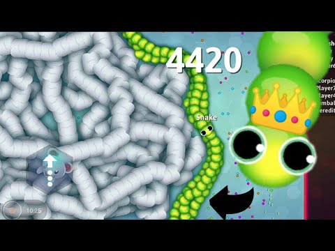 Snake. Io Top