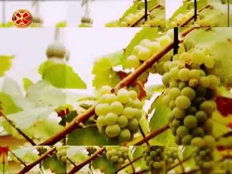 სიახლენი - 09.03.2015