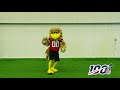 NFL Mascots 2019 Kickoff Video