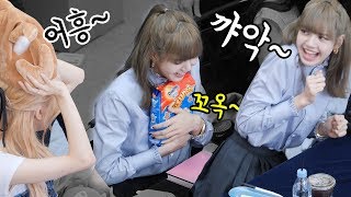 귀여운 리사 하이라이트 lovely cute Lisa highlight : 블랙핑크 팬사인회 BLACKPINK fansign event : 영등포 타임스퀘어 190630