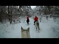 Зимові тренування
