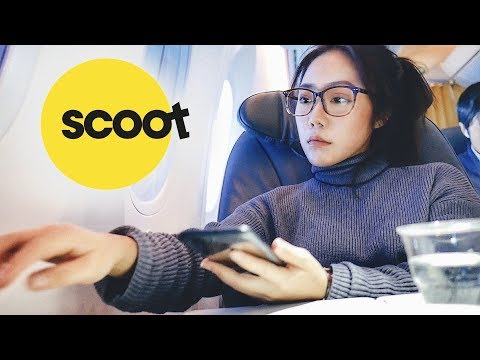 酷航Scoot | 新加坡廉航商務艙免費Wifi爽飛🐝訂票網炸雷請避開！SCOOT SINGAPORE