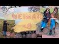 Germany | The most random vlog from Weimar | Food, nature, sheeps and much more