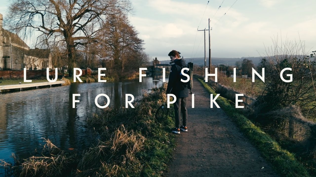 Lure Fishing on the Stroudwater Canal