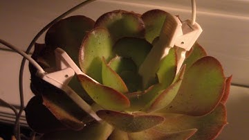 Biofeedback Music Ambient Eurorack Music  #eurorackmodular #generativemusic