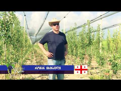 'რჩევები ფერმერებს' 'საფერავი ტვ' რომან ჩხენკელი Roman Chkhenkeli Green Solutions