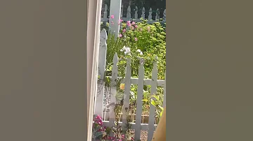 My New Art Studio In California Amwriting Abaec1f735e743709393957f24307aef 