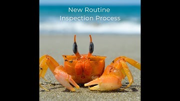 NEW PROCESS: Routine Inspections
