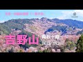 【吉野山 青根ヶ峰 4月】日本一の桜の名所「一目千本」