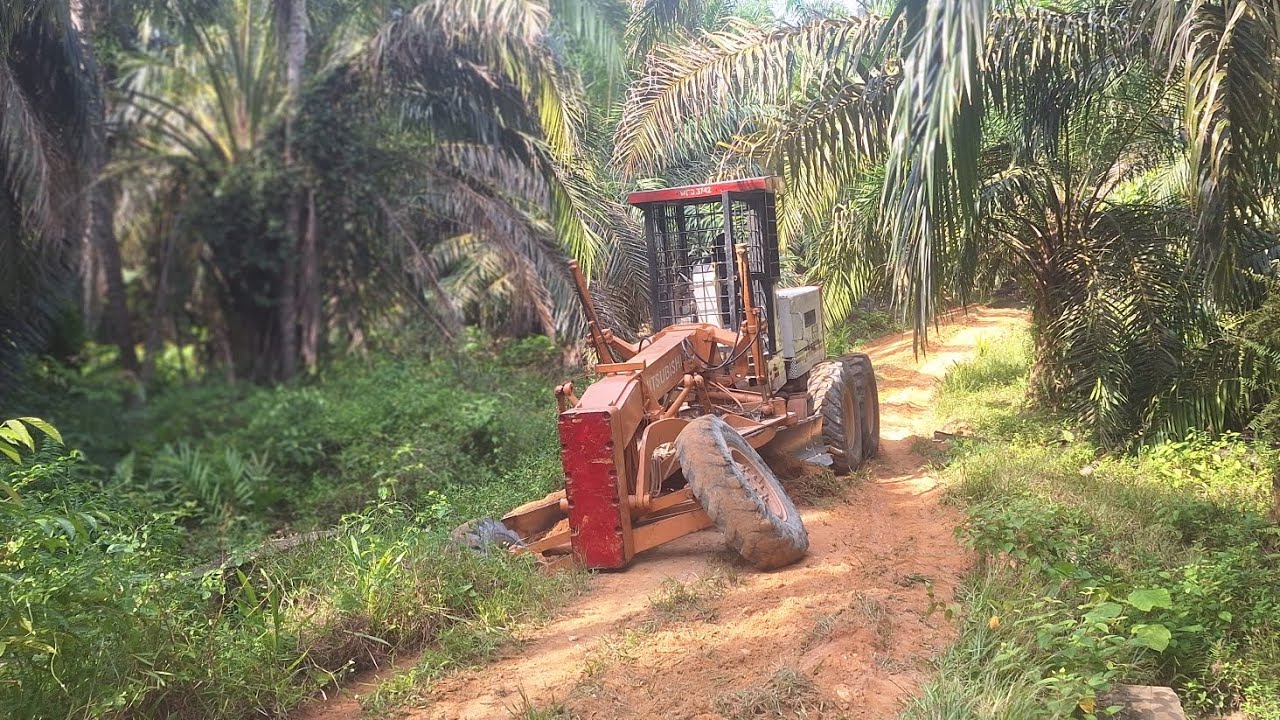 Bagaimana bisa nyemplung? - grader repair jalan kebun