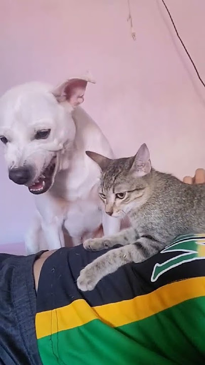 KULIT MO NAMAN MAKI INAANO KA BA
