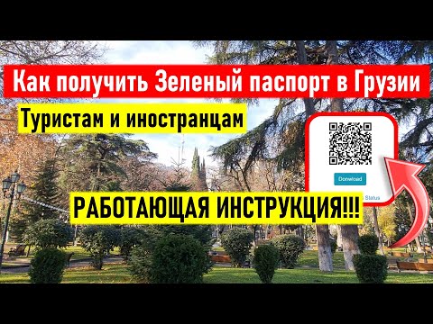 Видео: Как получить аттестат парапрофессионала в Грузии?