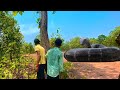 Anaconda attack in Real Life |Raj animation#anaconda #snacks #anacondasnake #python #animals #video