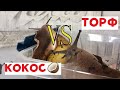 ТОРФ vs КОКОС | Какой грунт для УЛИТОК лучше