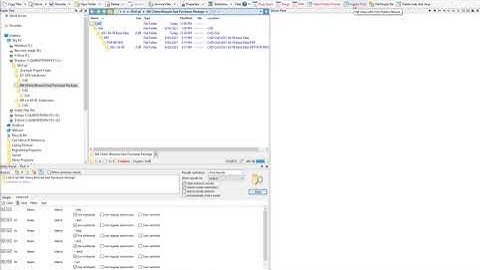03.03 Directory Opus review of basic custom button functions