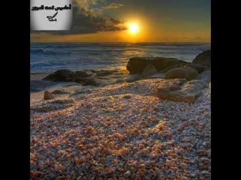 ما ذنبى أنا