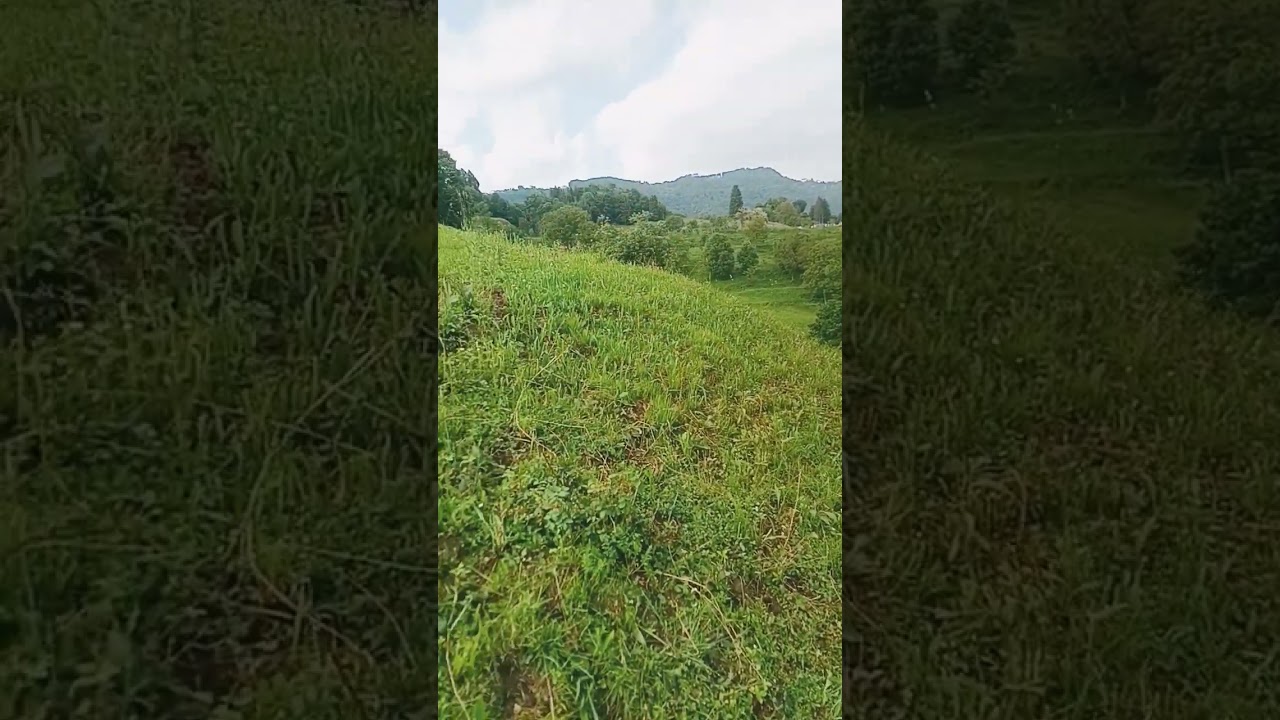 Prossimamente su questo canale YouTube