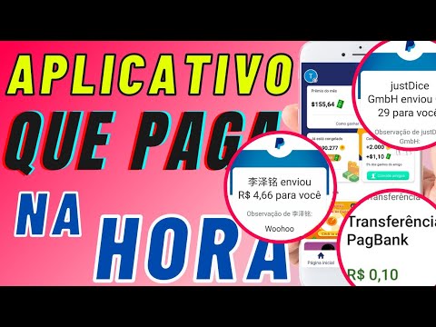 empresa brasileira de apostas online