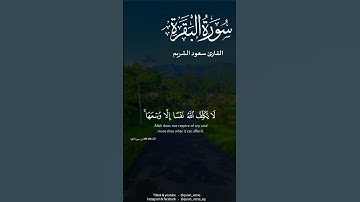 خواتيم سورة البقرة #قران #تلاوات #الله #quran #استغفر_الله #quran_verse  #explore #حالات_واتساب