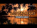 LOS PALMERAS ENGANCHADO (cumbias remix)
