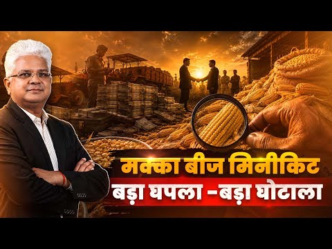 मक्का बीज मिनीकिट में बड़ा घपला - बड़ा घोटाला। Haldhar Times। Maize। Seeds। #maize #seeds #news #kisan